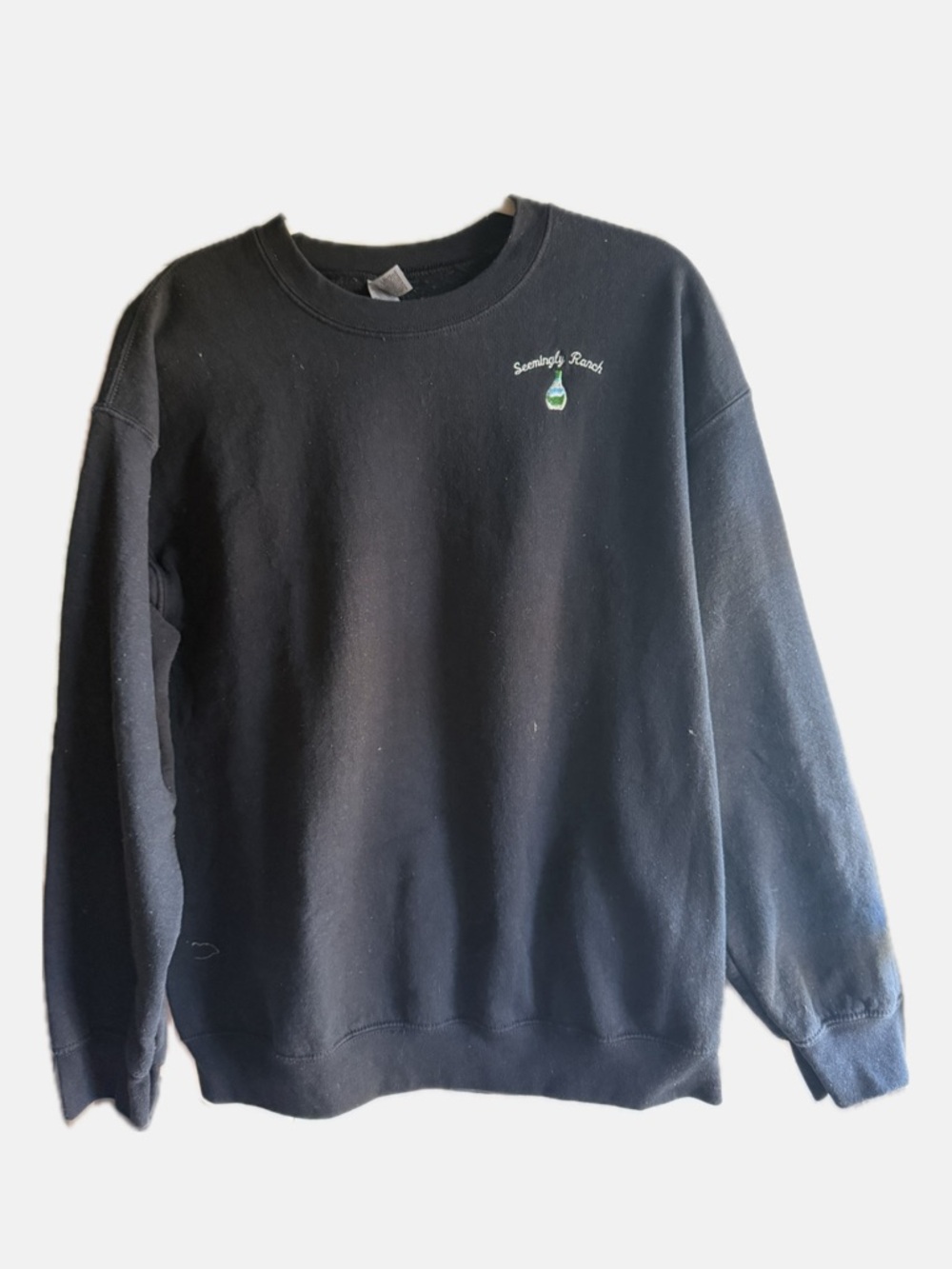 Taylor Swift inside joke Sweatshirt with Seemingly Ranch detail